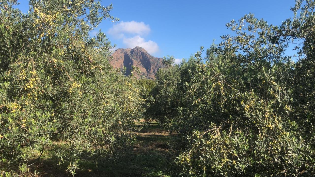 Su Cappeddu Agriturismo San Giorgio  Kültér fotó