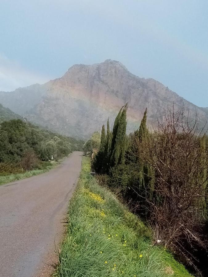Su Cappeddu Agriturismo San Giorgio  Kültér fotó